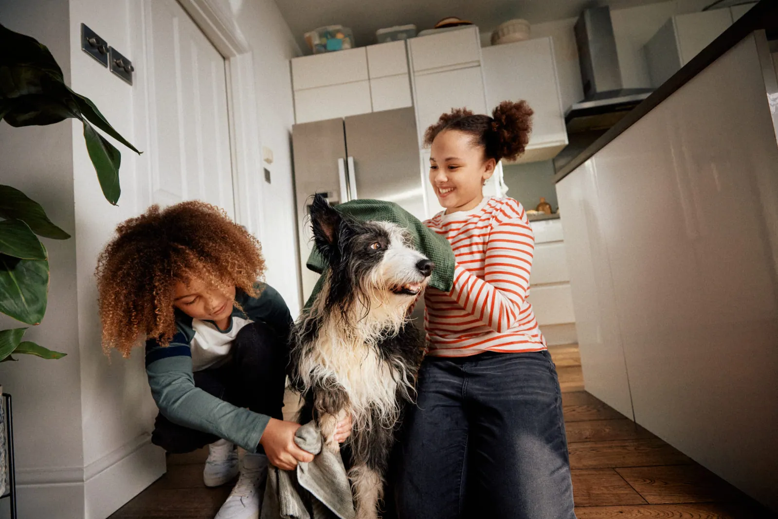 Jack Terry - Dettol Page Image