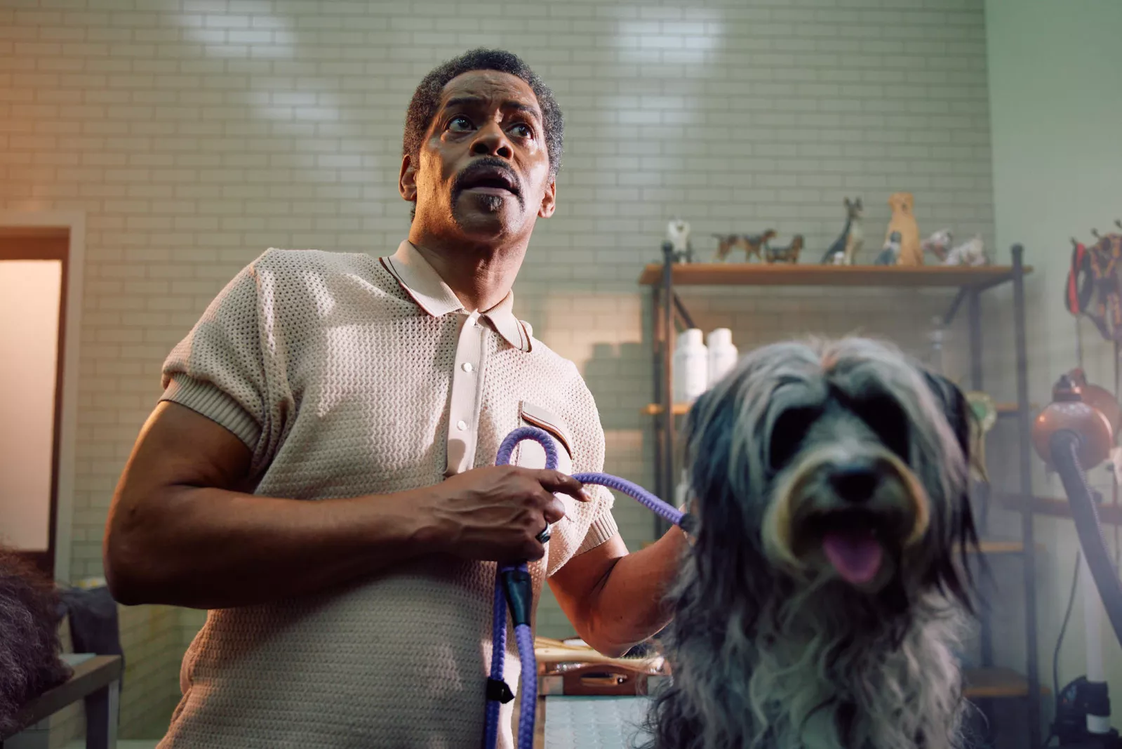 Jack Terry - Starling Bank Page Image