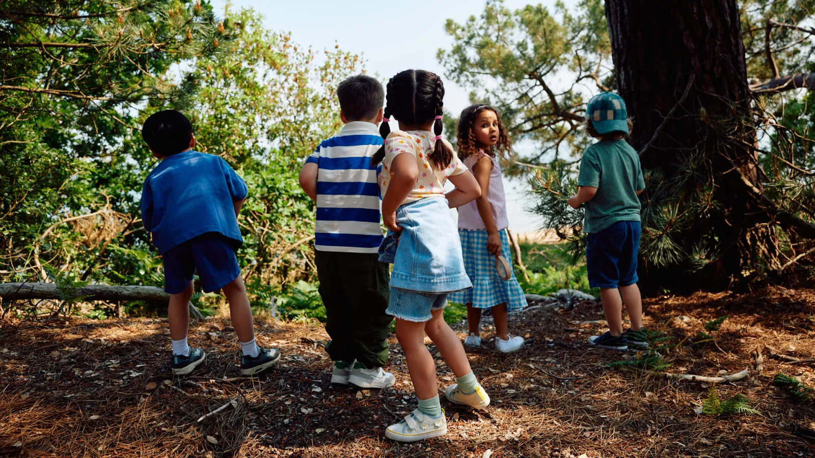 Jack Terry - Vertex Page Image