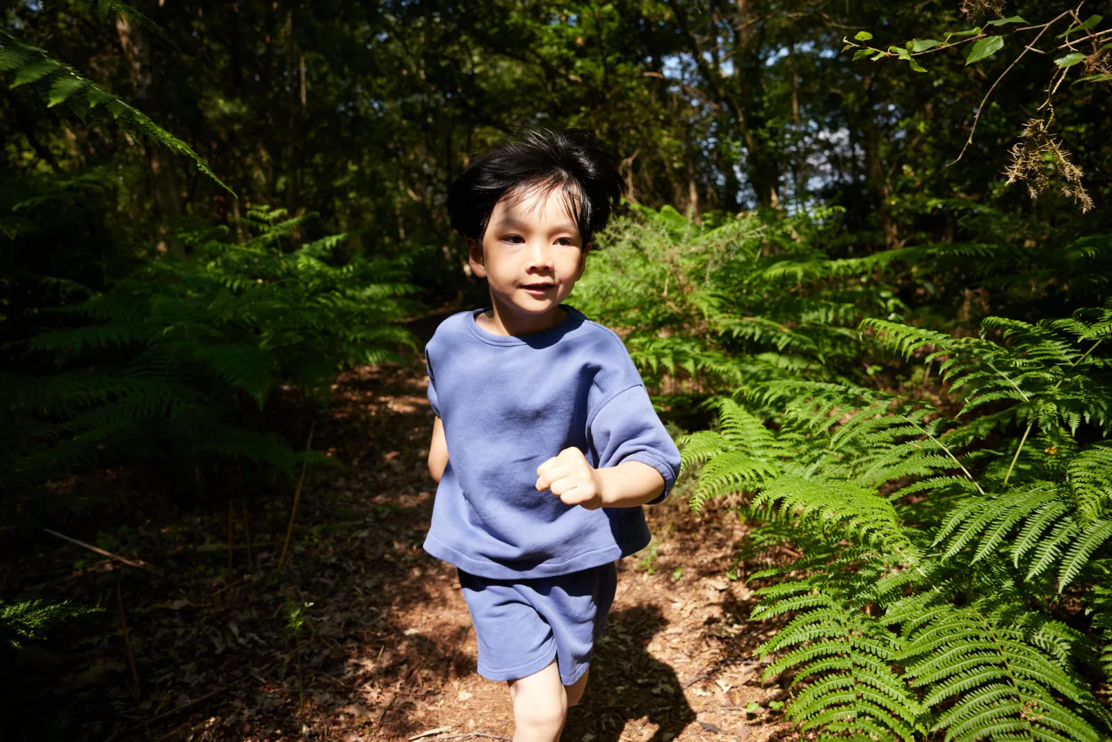 Jack Terry - Vertex Page Image