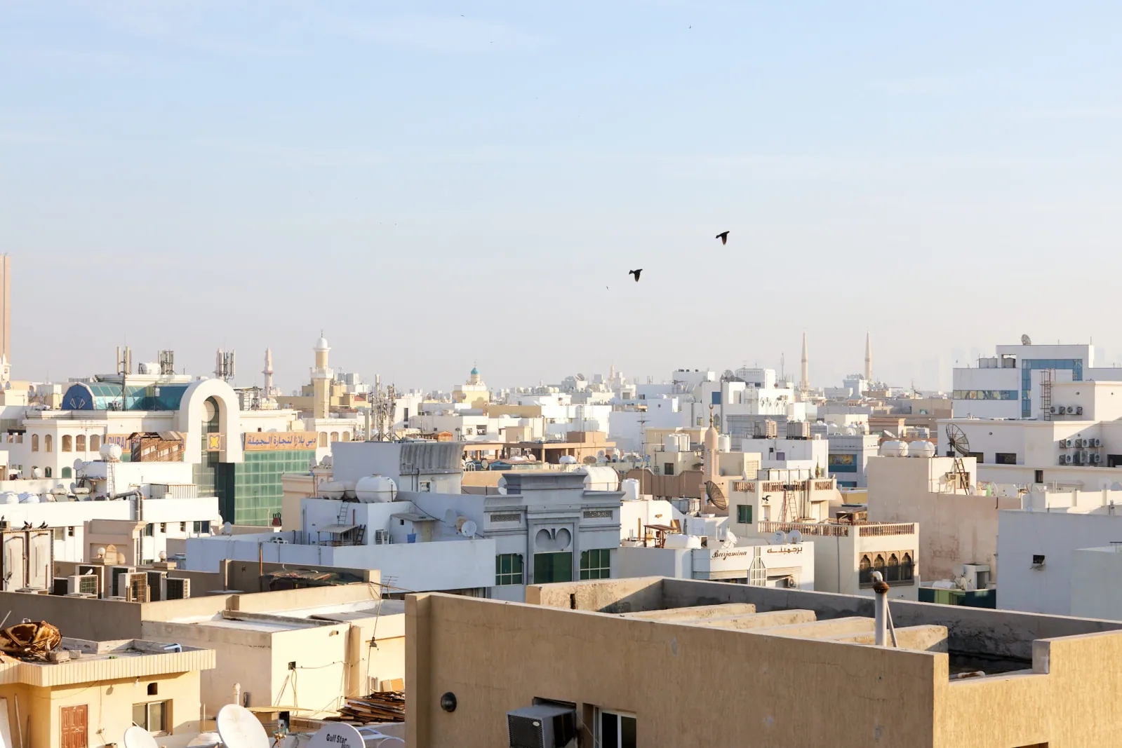 Jack Terry - Vice x Google Page Image