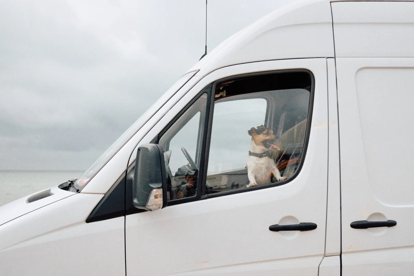 Jack Terry - Car Boots Page Image