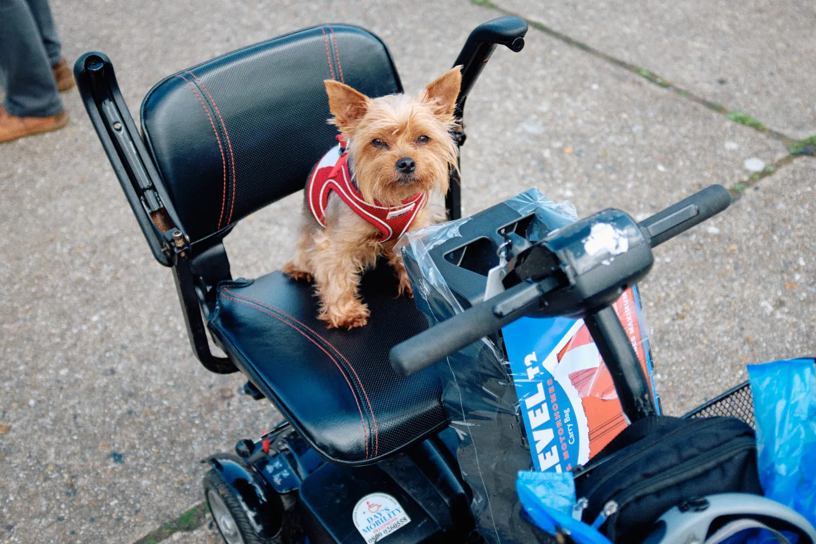 Jack Terry - Car Boots Page Image