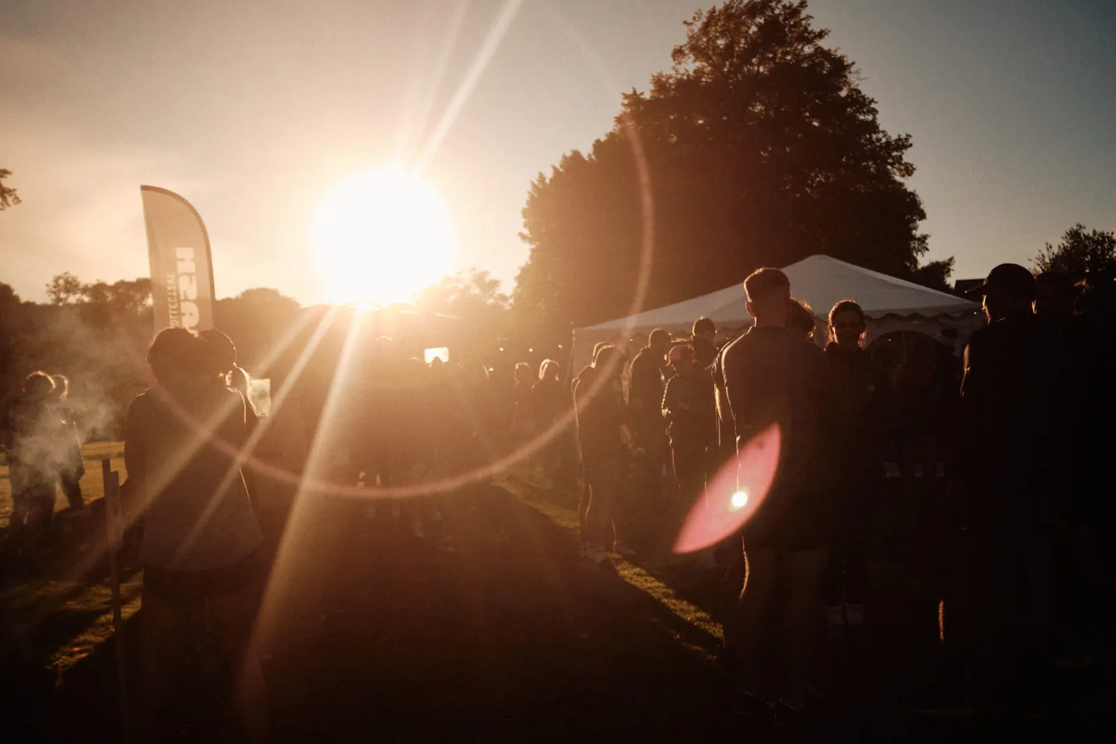 Jack Terry - Dash Collective Page Image