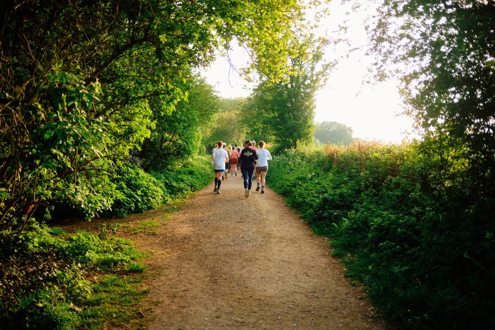 Jack Terry - Dash Collective Page Image