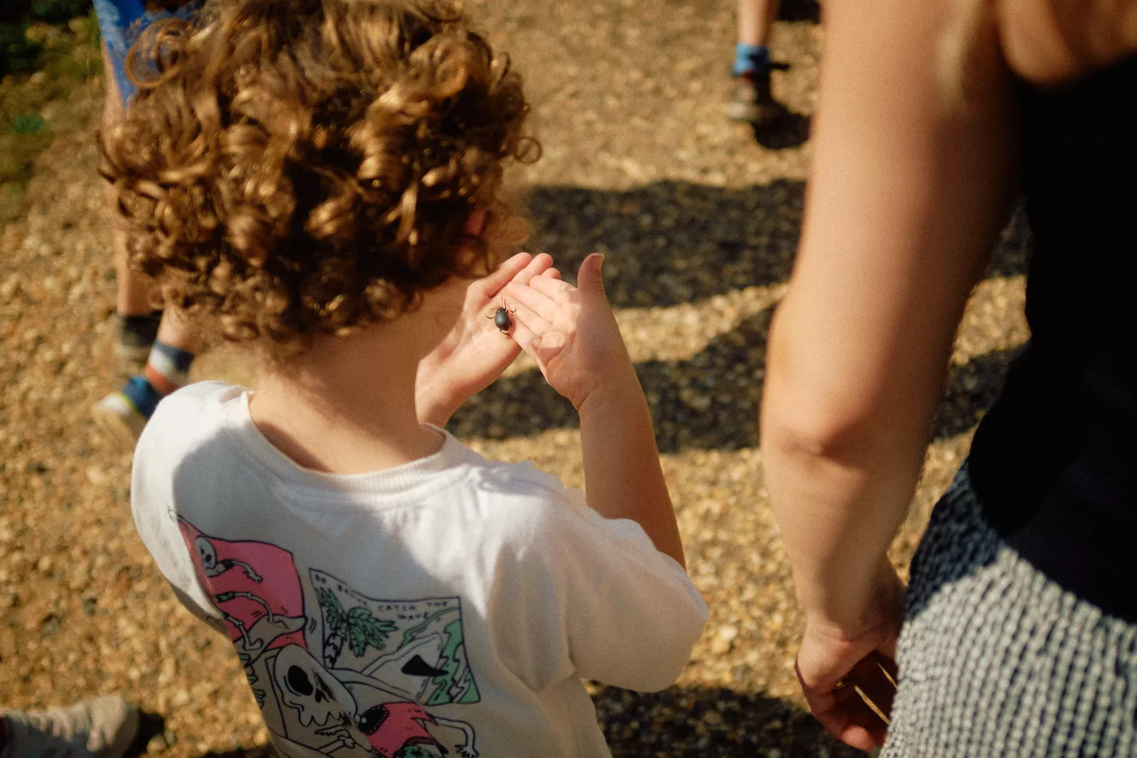 Jack Terry - End of term Page Image