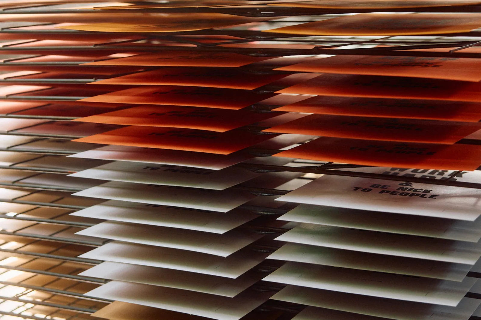 Jack Terry - Anthony Burill Page Image