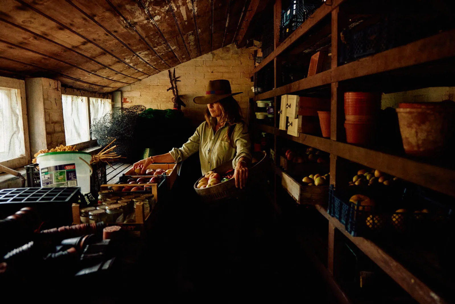 Jack Terry - Kitchen Garden Page Image