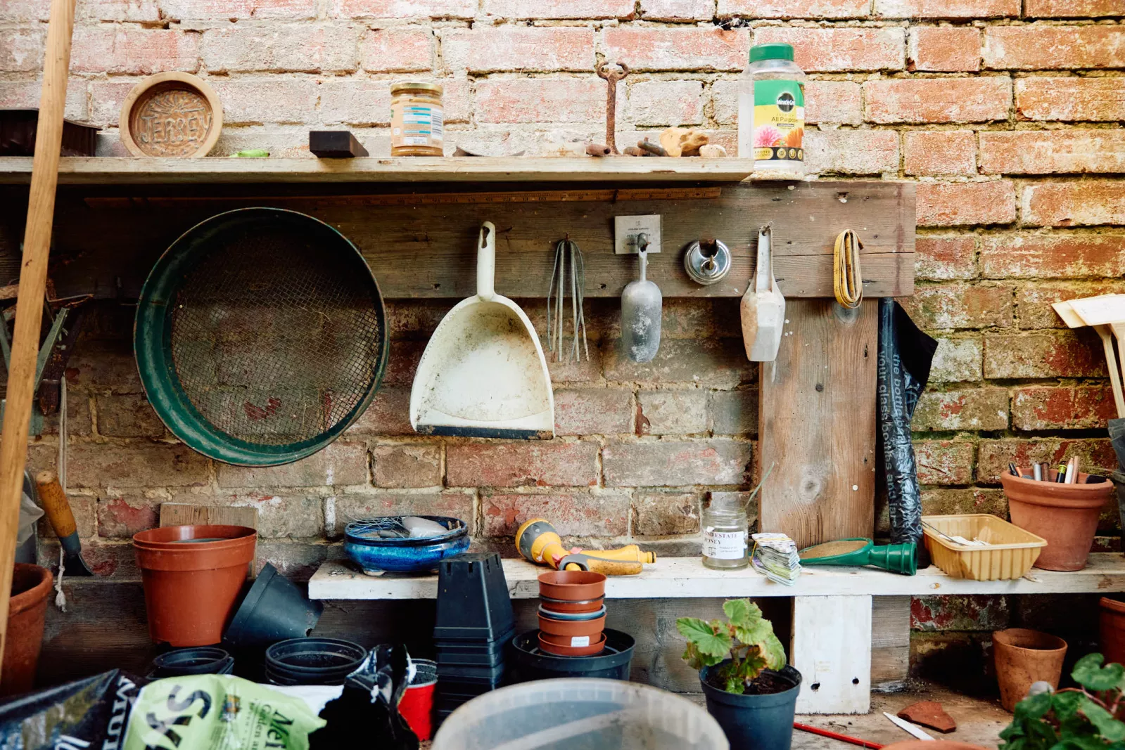 Jack Terry - Kitchen Garden Page Image
