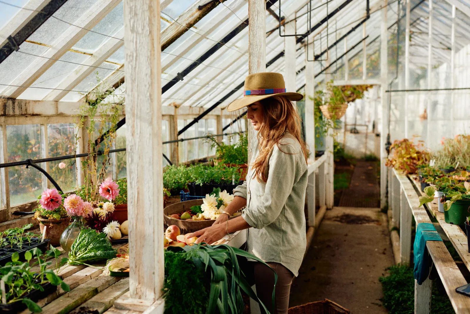 Jack Terry - Kitchen Garden Page Image