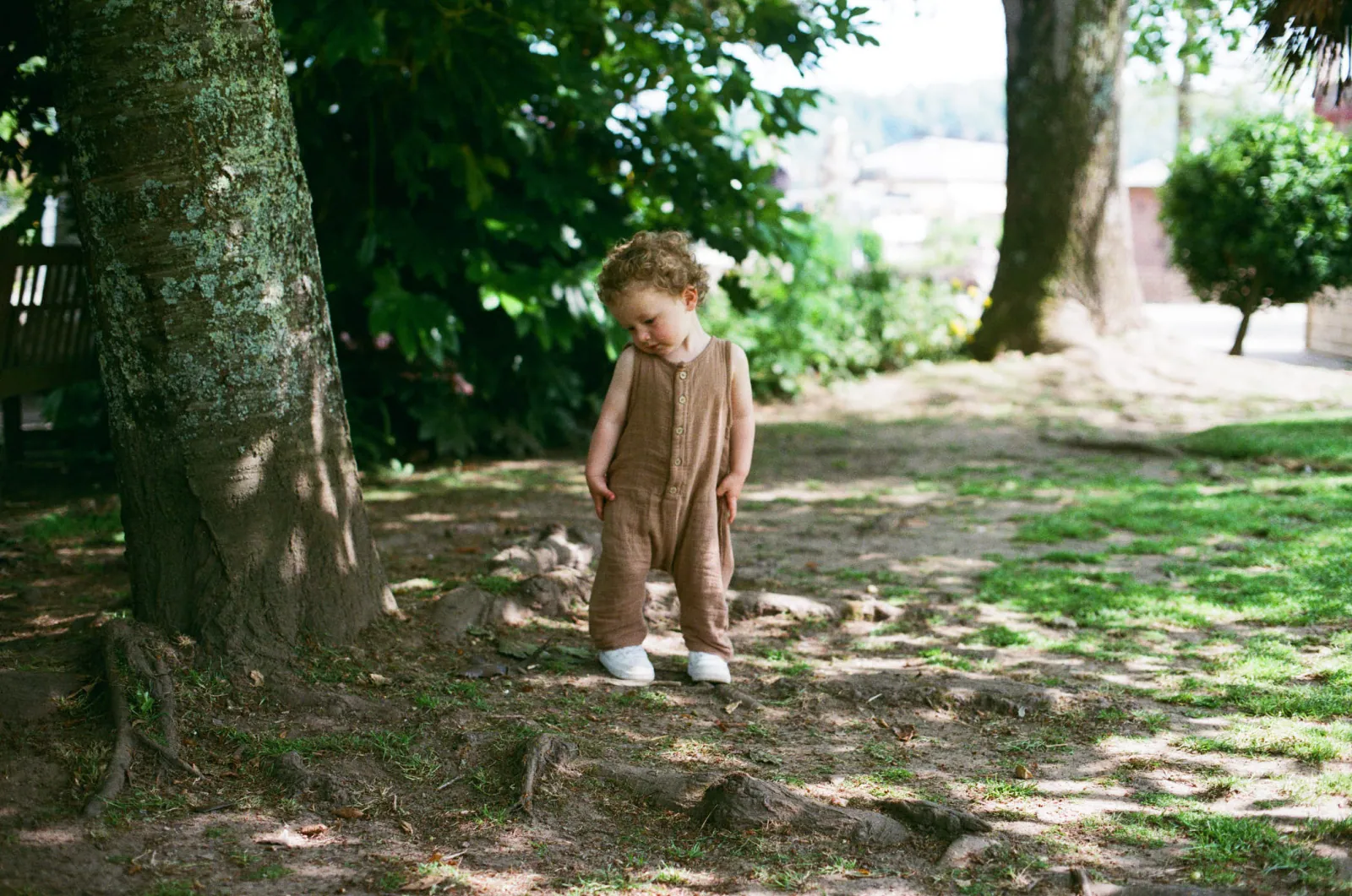 Jack Terry - Xavier Page Image