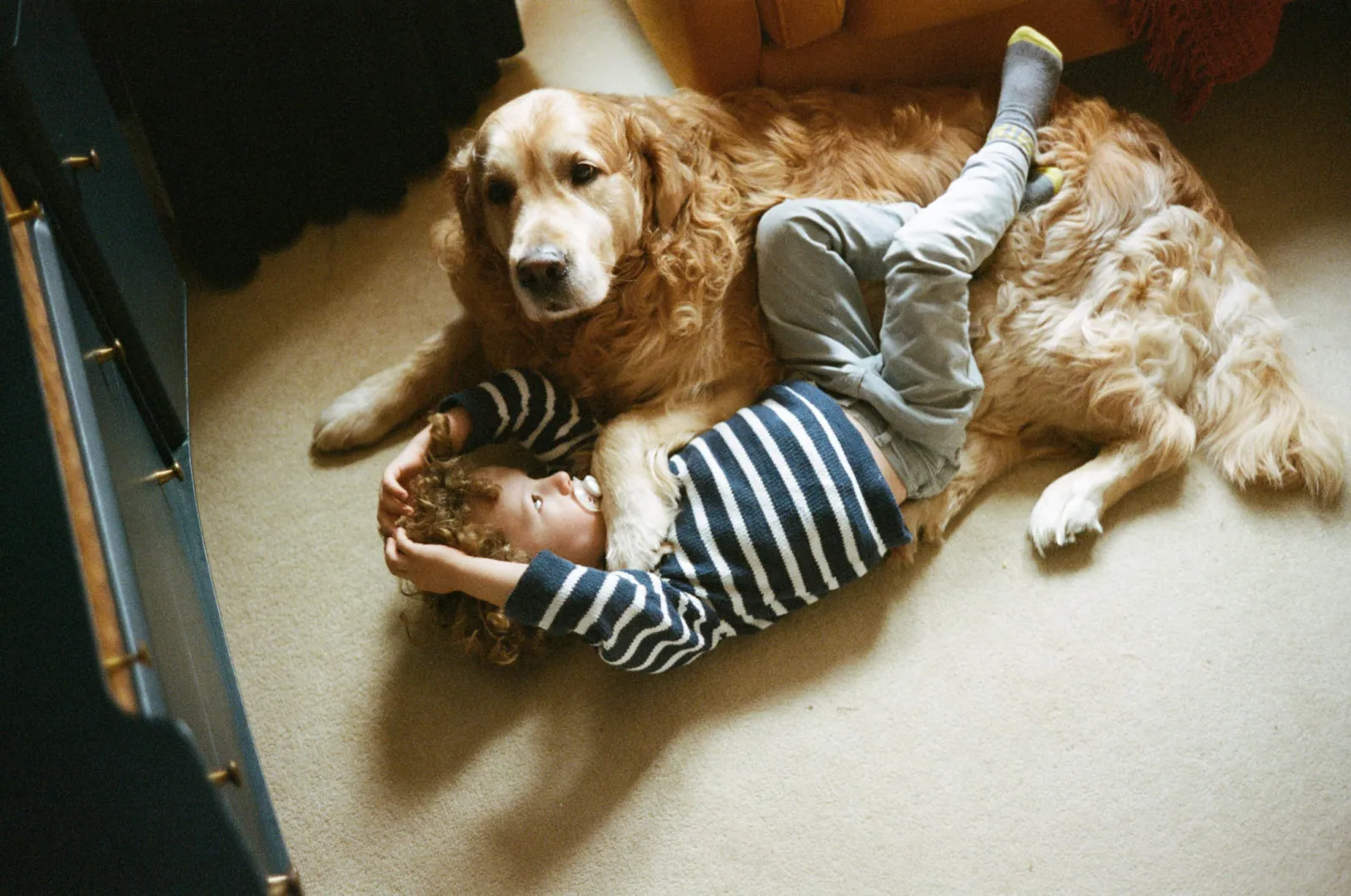 Jack Terry - Xavier Page Image