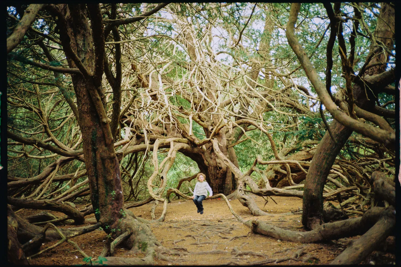 Jack Terry - Xavier Page Image