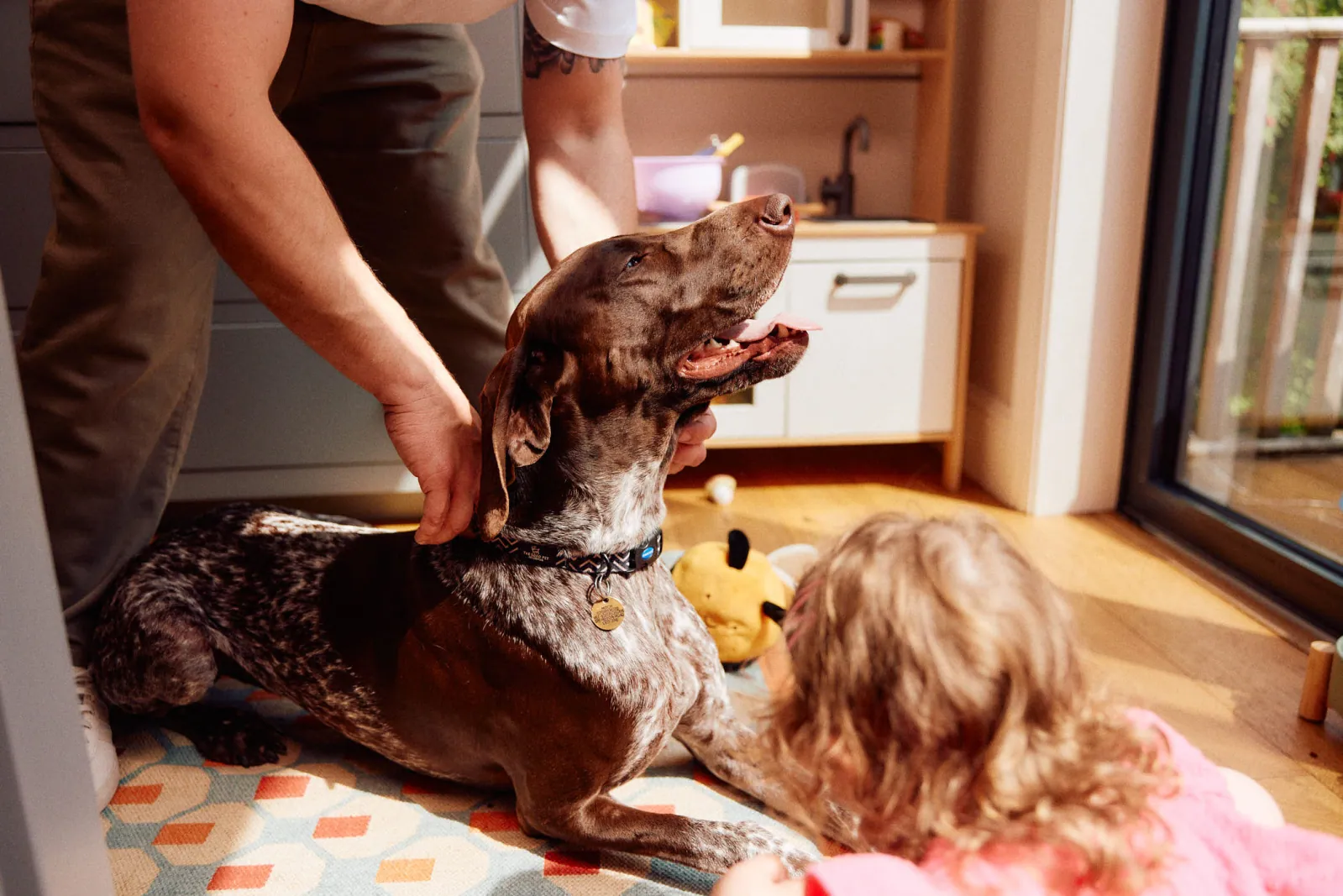 Jack Terry - Pets at Home Page Image