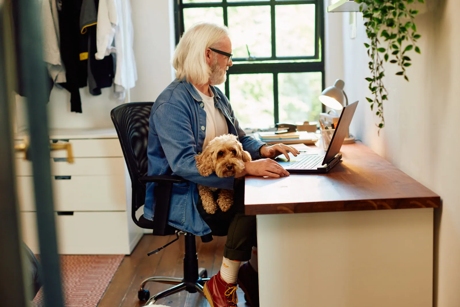 Jack Terry - Pets at Home Page Image