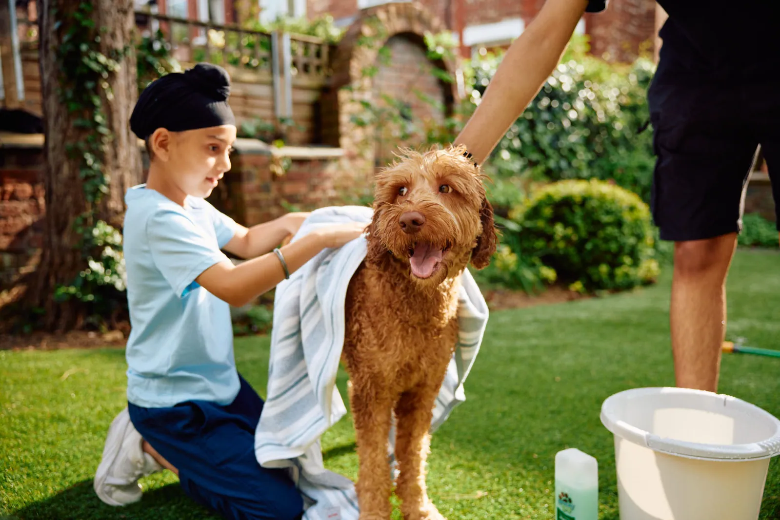 Jack Terry - Pets at Home Page Image