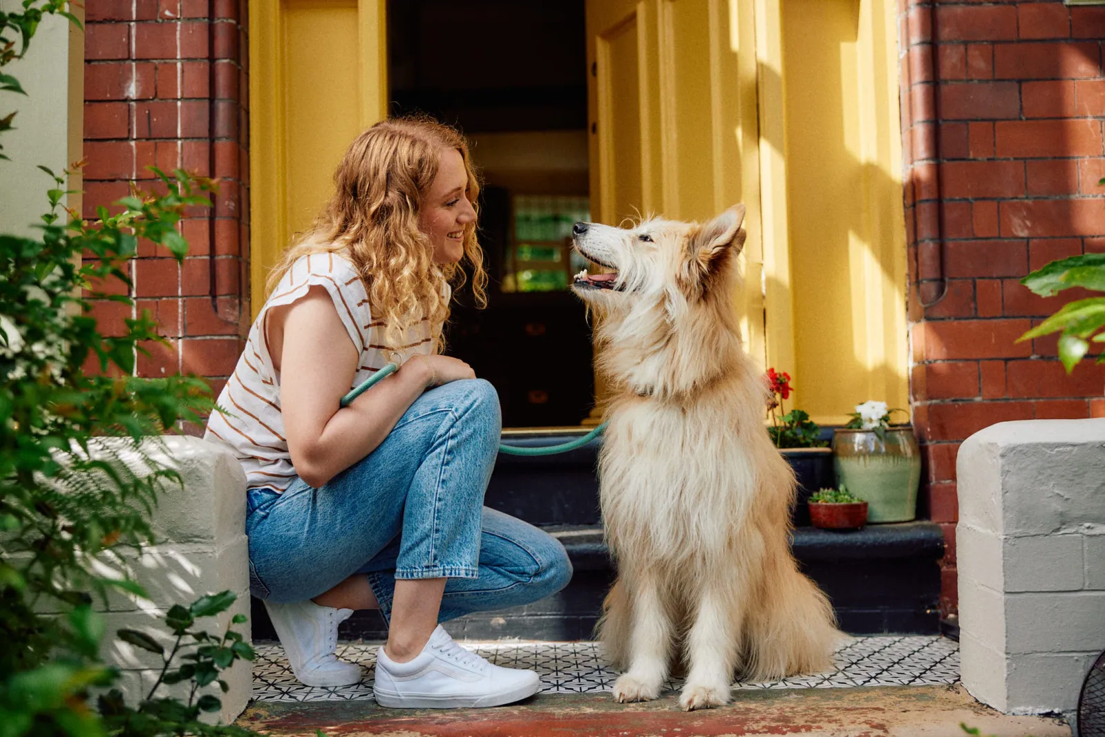 Jack Terry - Pets at Home Page Image