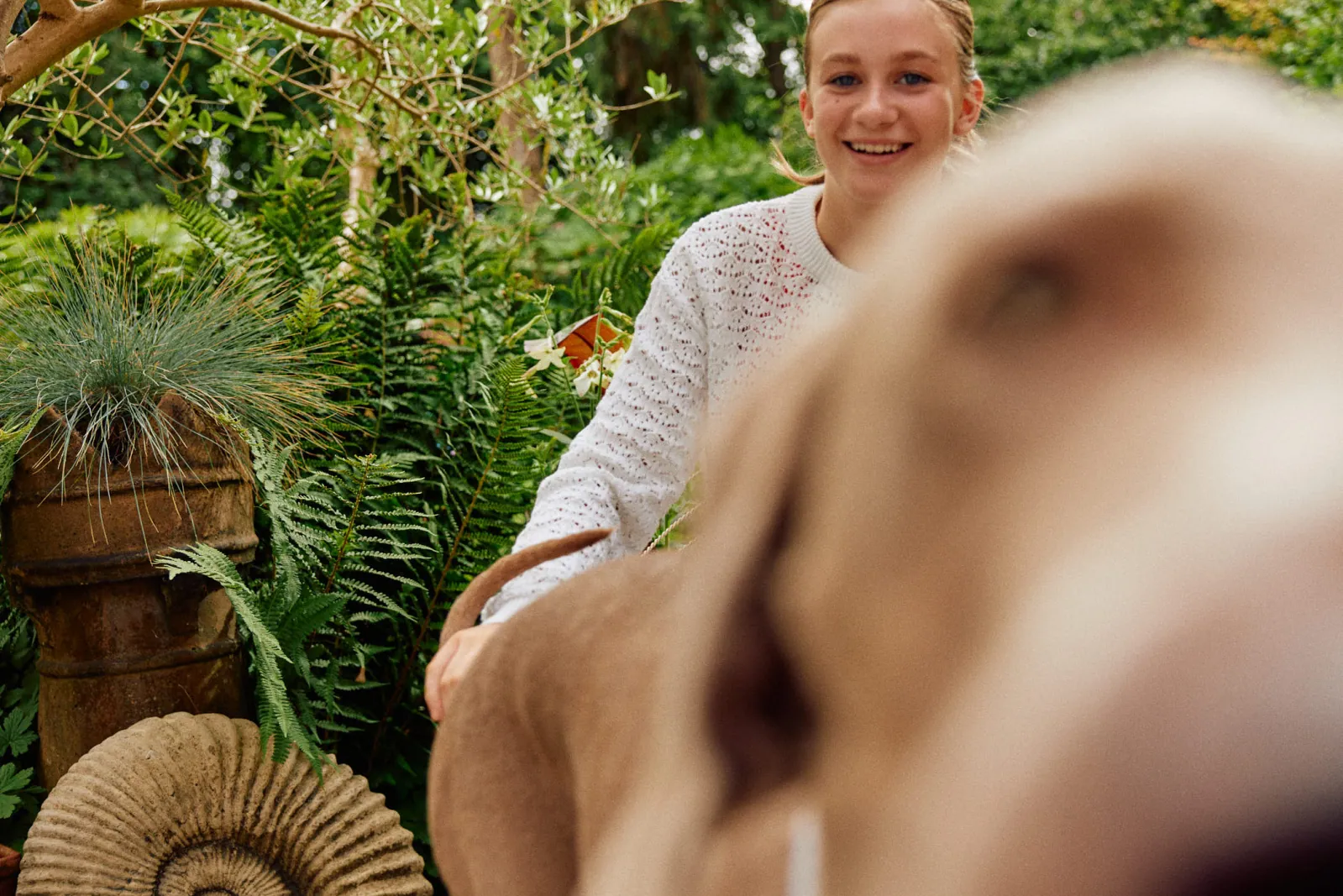 Jack Terry - Pets at Home Page Image