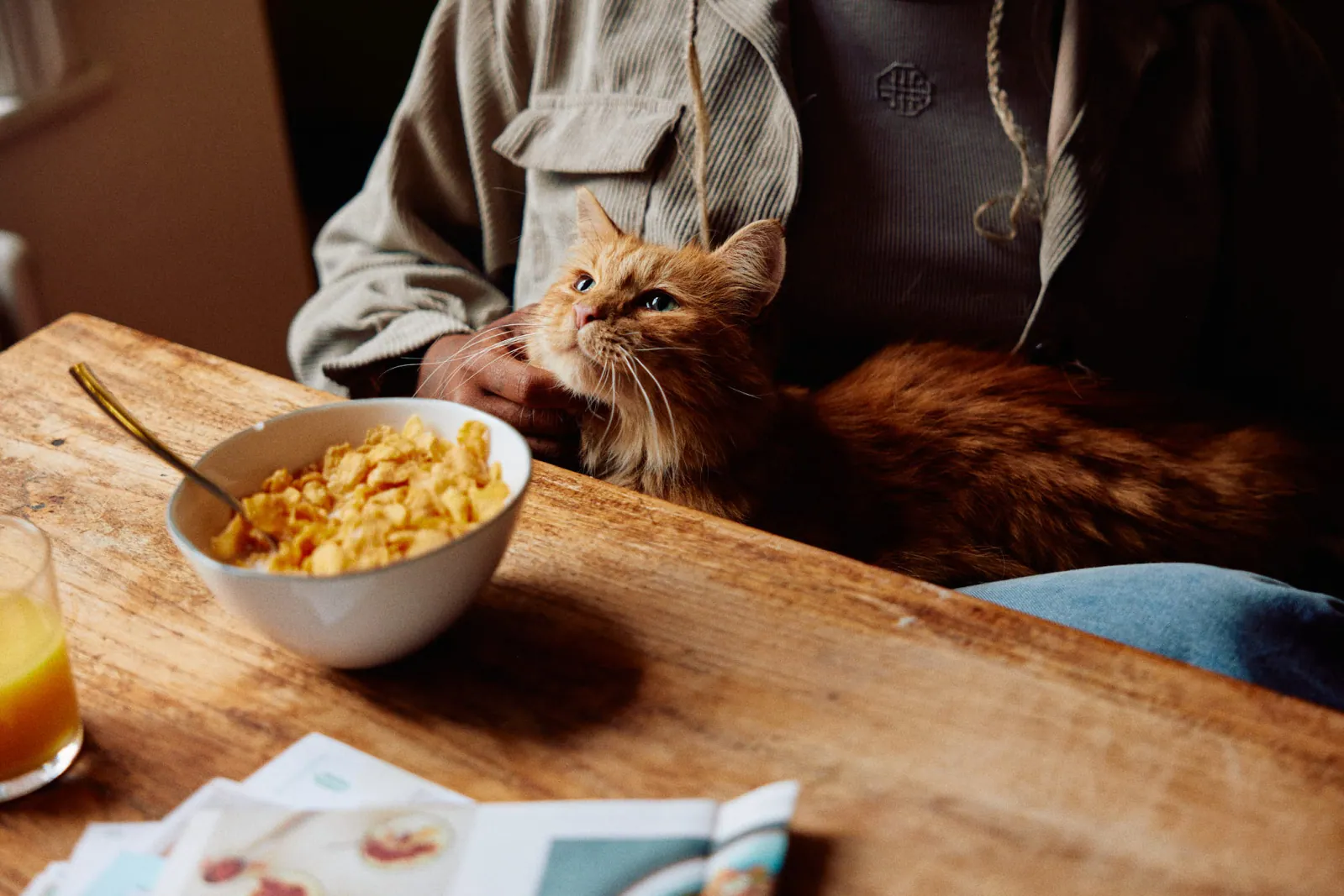 Jack Terry - Pets at Home Page Image