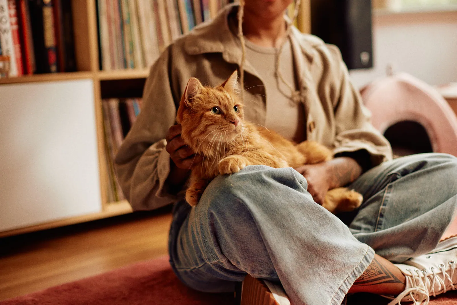 Jack Terry - Pets at Home Page Image