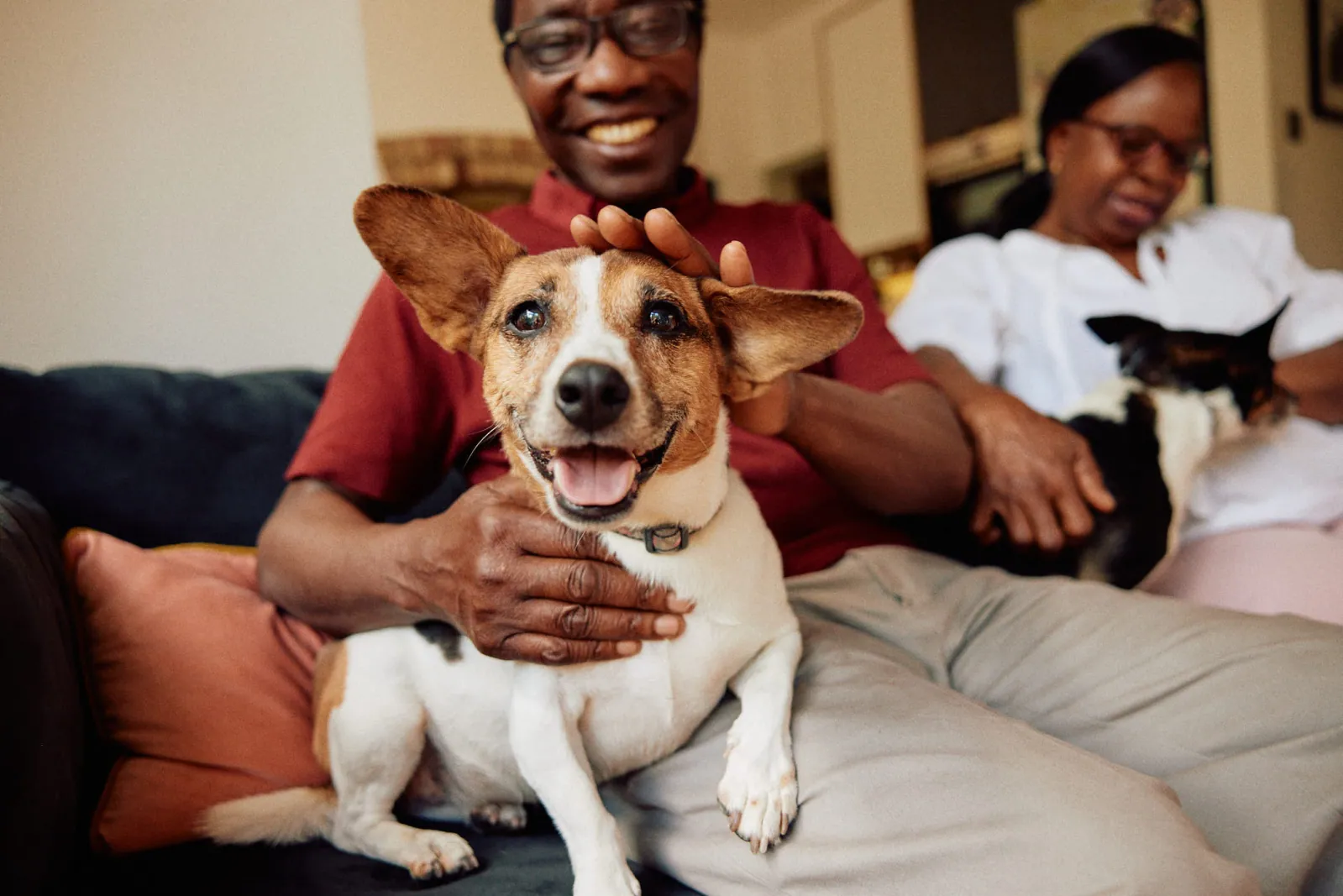 Jack Terry - Pets at Home Page Image