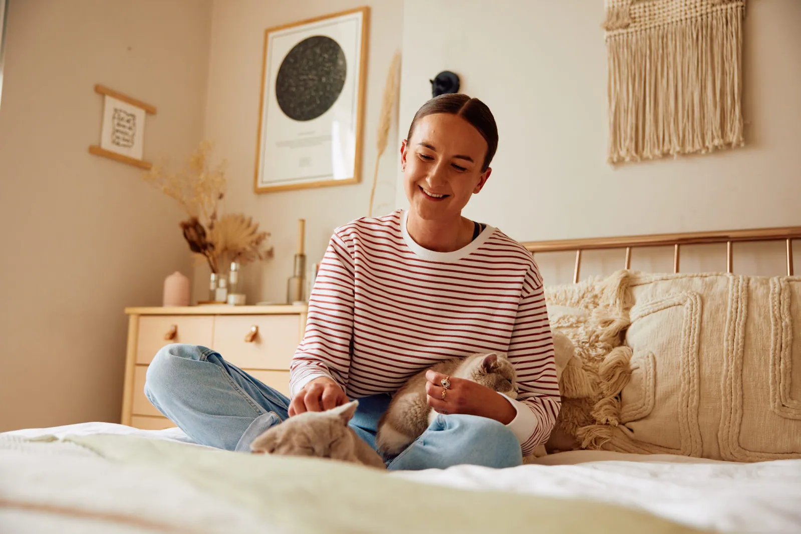 Jack Terry - Pets at Home Page Image