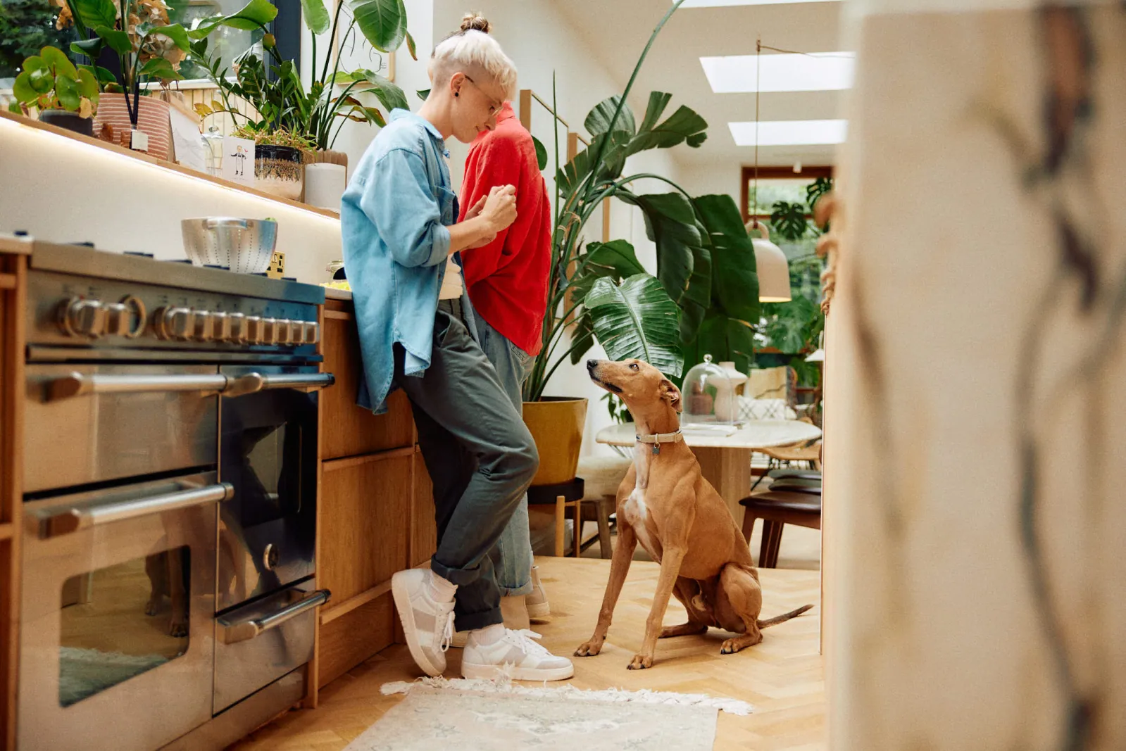 Jack Terry - Pets at Home Page Image