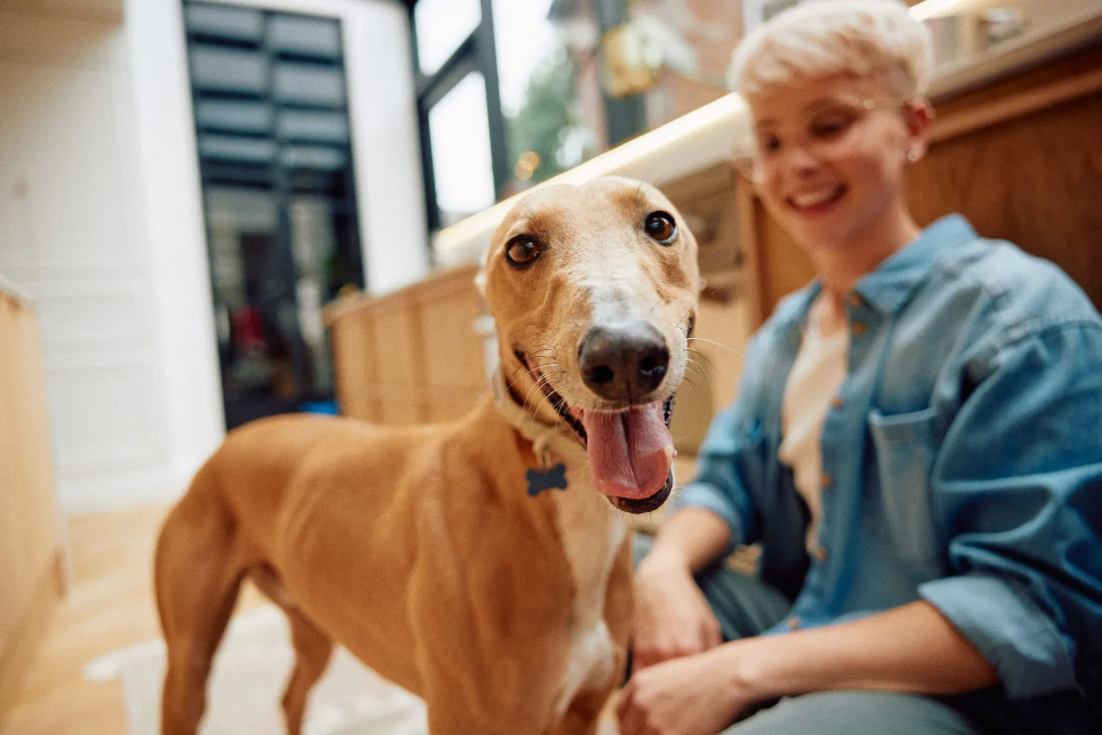 Jack Terry - Pets at Home Page Image