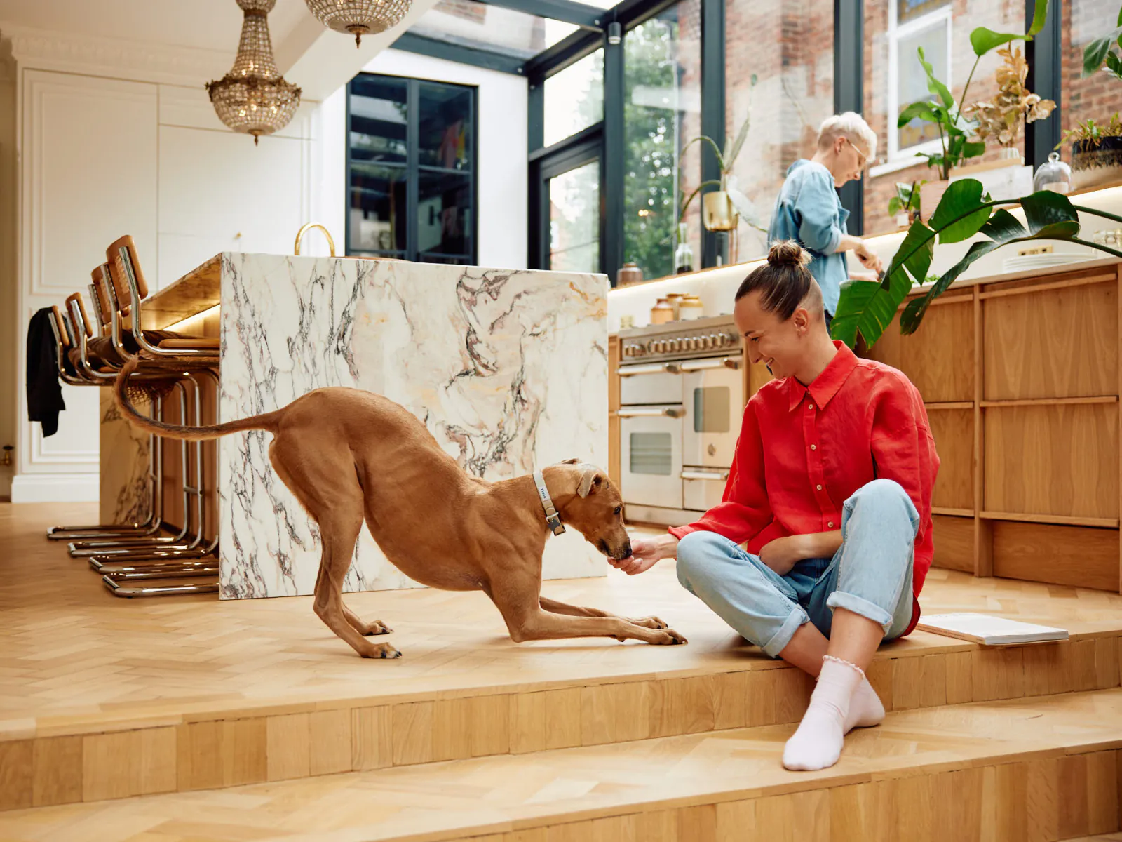 Jack Terry - Pets at Home Page Image