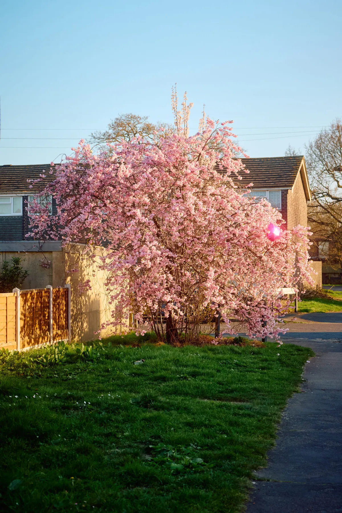Jack Terry - Photographer - Front Page - Image 3