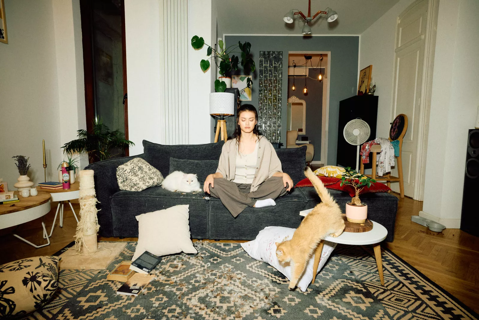 Jack Terry - Glade Page Image