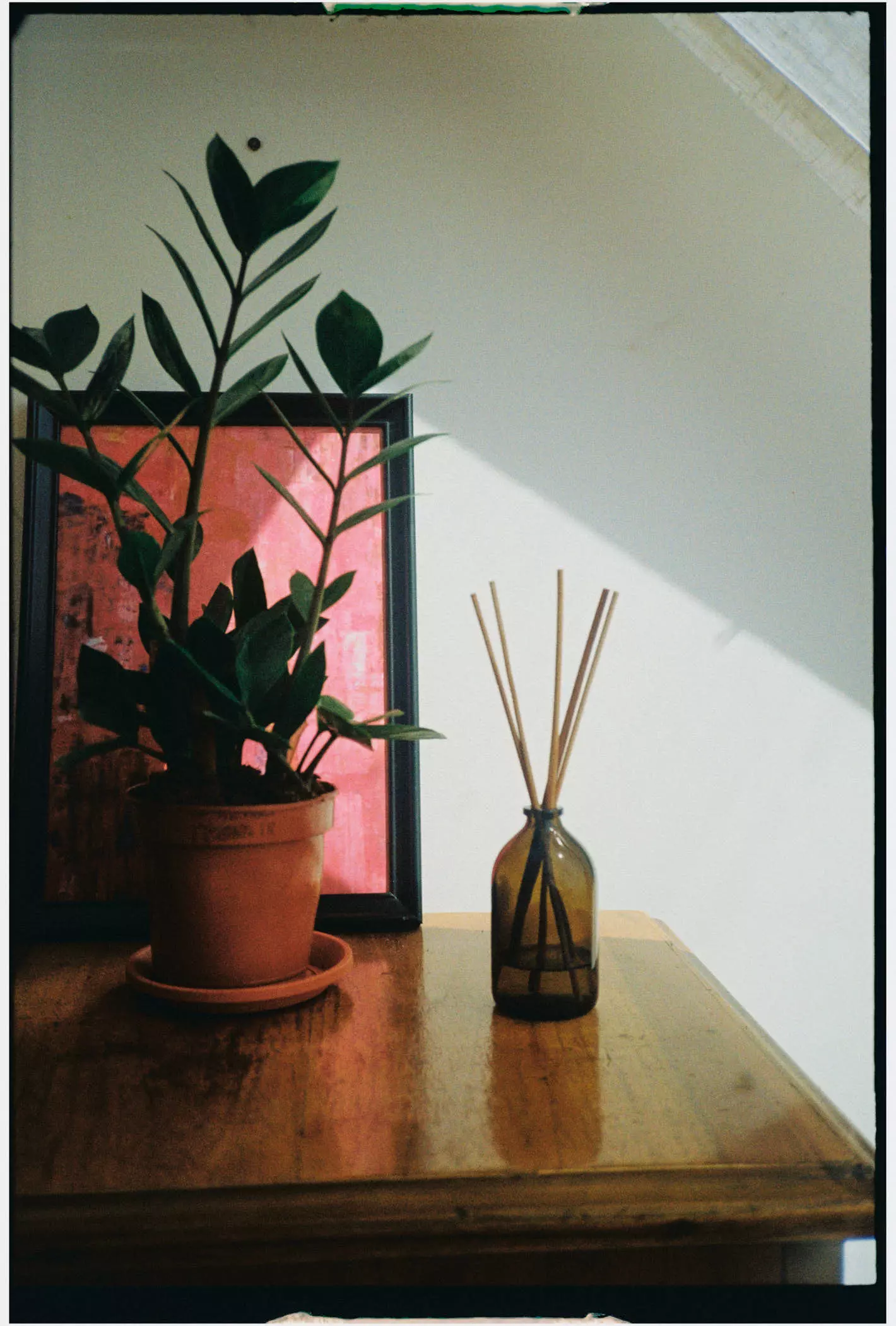 Jack Terry - Glade Page Image