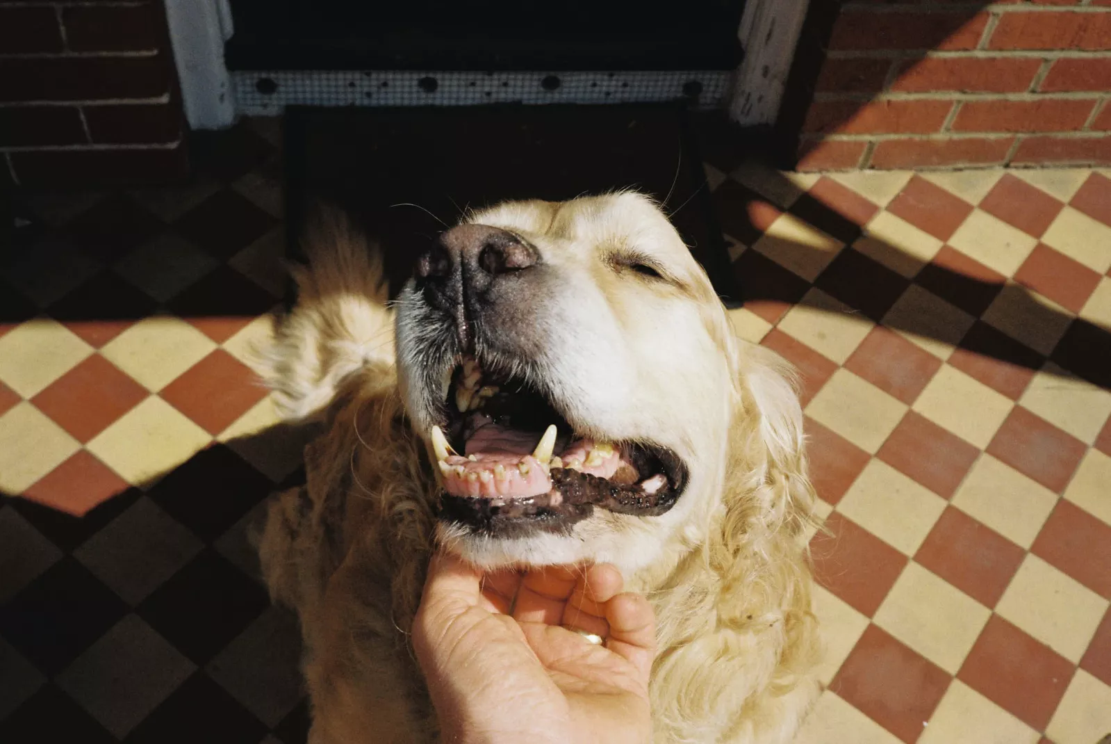 Jack Terry - Family Page Image