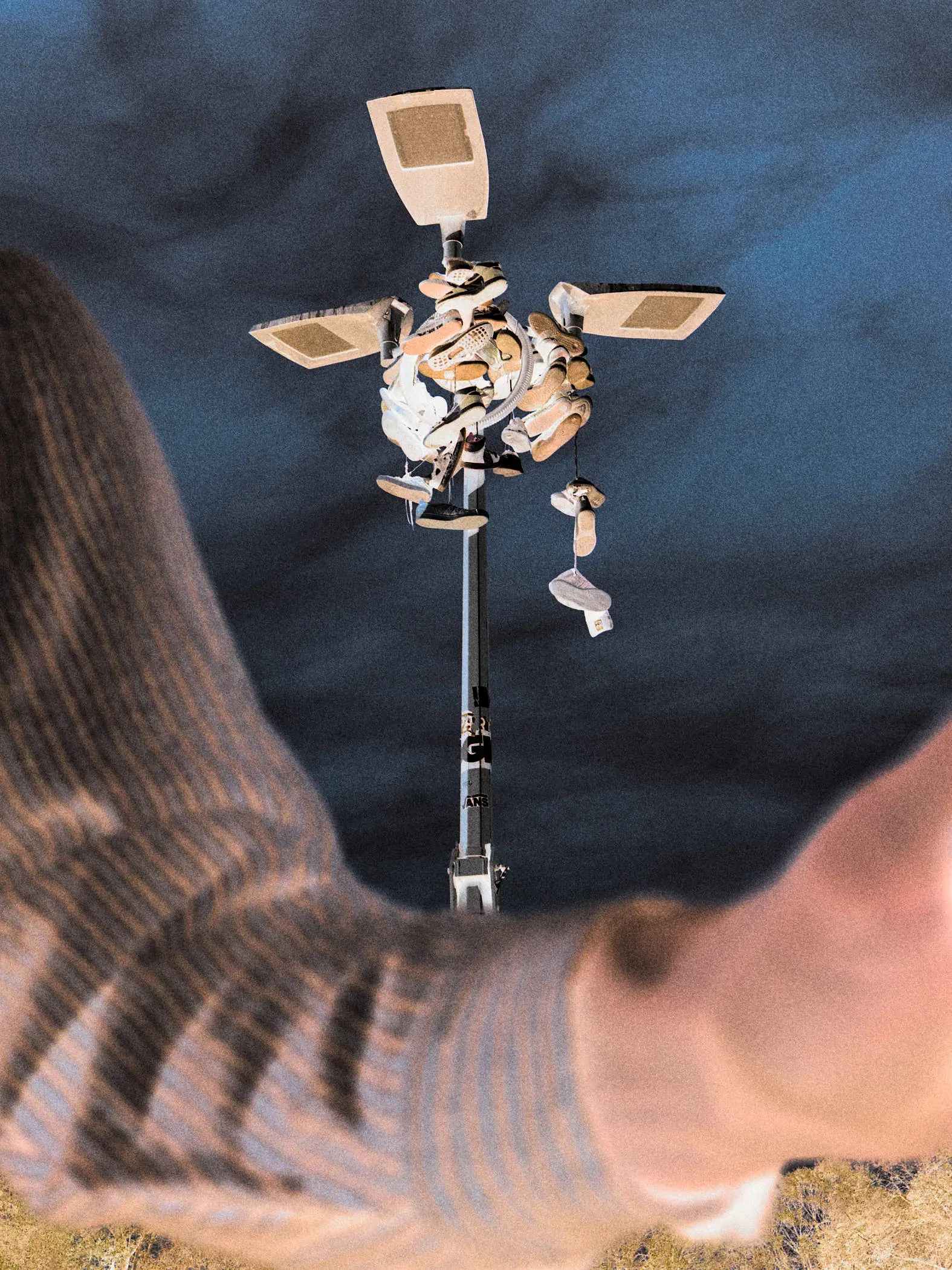 Jack Terry - Selle Royal Page Image