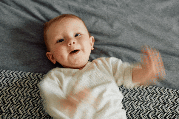 Jack Terry - Esther Page Image